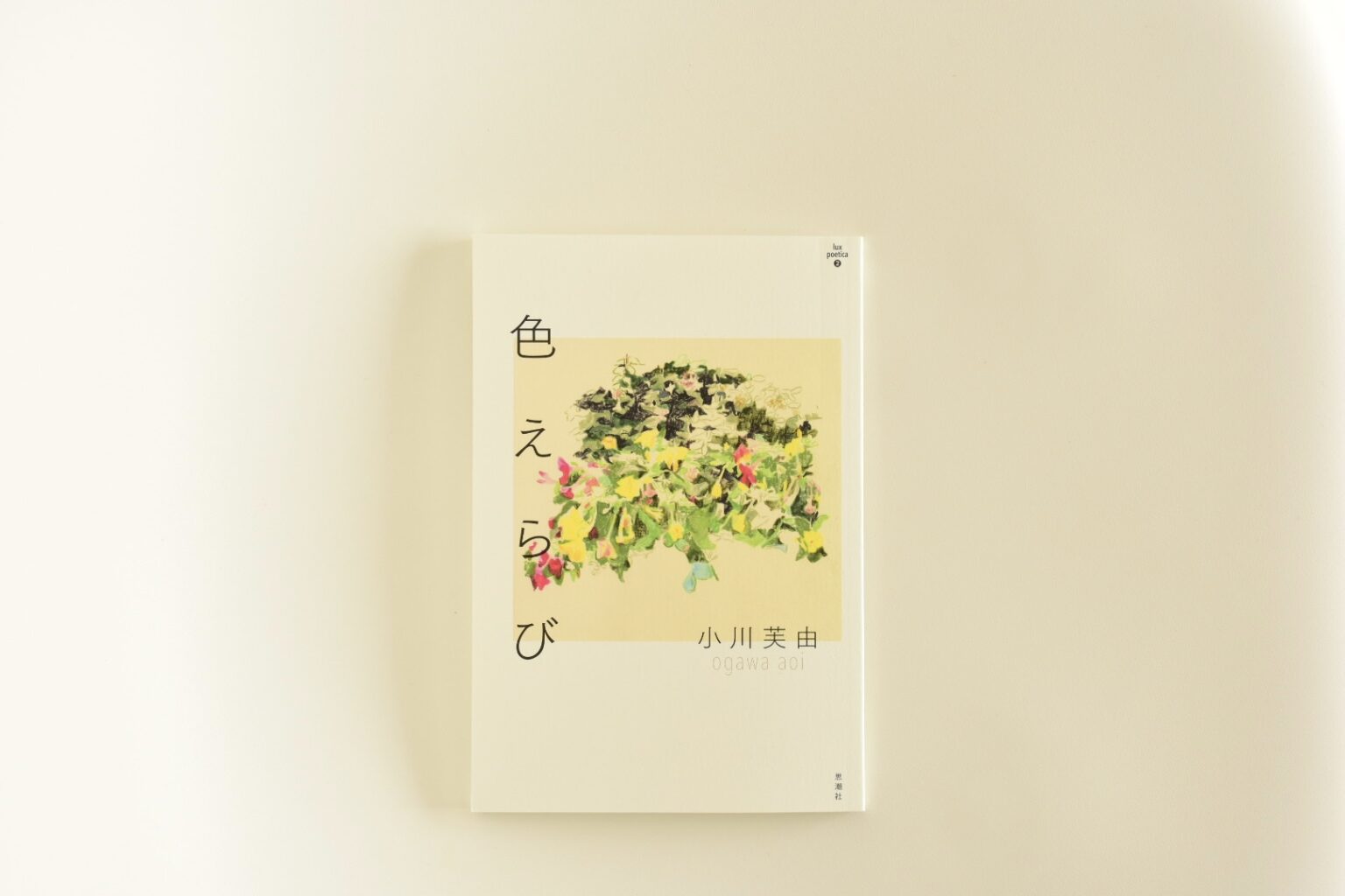 『色えらび』表紙