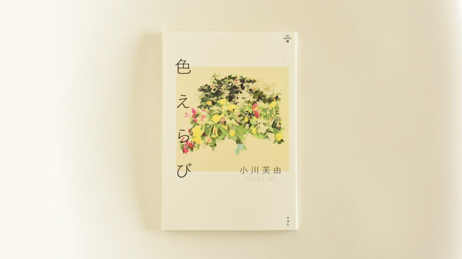 『色えらび』表紙