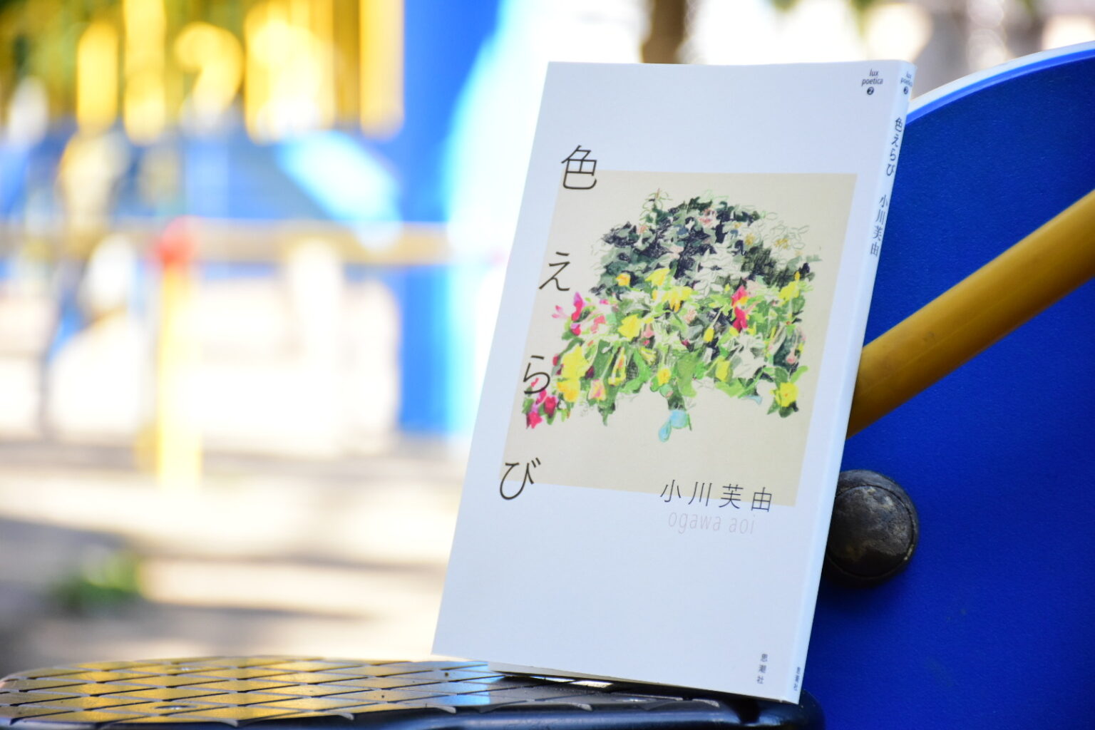 『色えらび』表紙 公園で