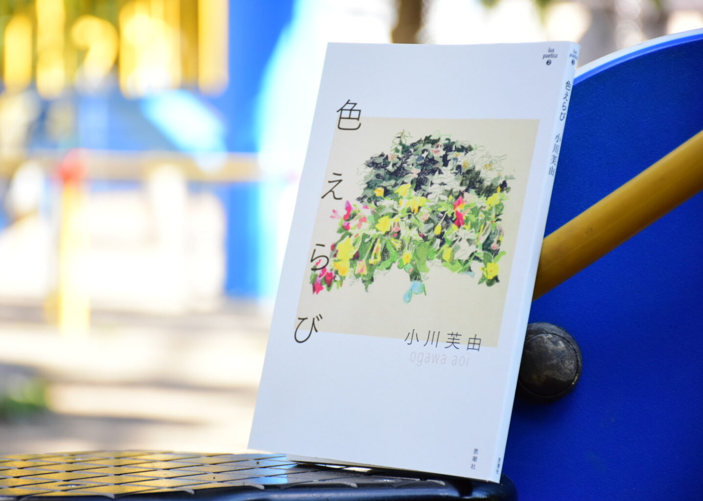 『色えらび』表紙 公園で