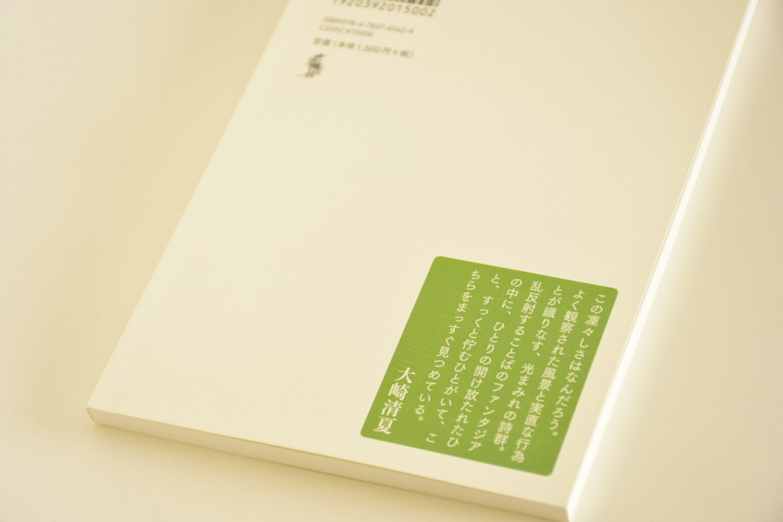 『色えらび』裏表紙 （推薦文） この凛々しさはなんだろう。 よく観察された風景と実直な行為とが織りなす、光まみれの詩群。乱反射する言葉のファンタジアの中に、ひとりの開け放たれたひと、すっくと佇むひとがいて、こちらをまっすぐ見つめている。 ーー大崎清夏