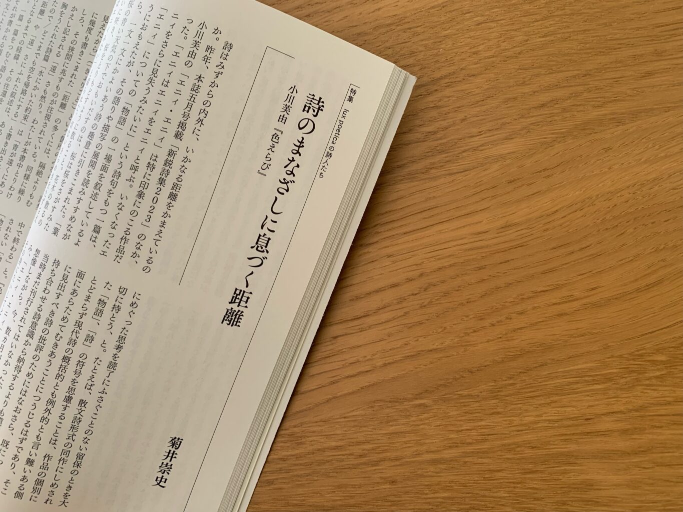 『現代詩手帖 2024年2月号』 
菊井崇史さんによる『色えらび』書評 掲載ページ